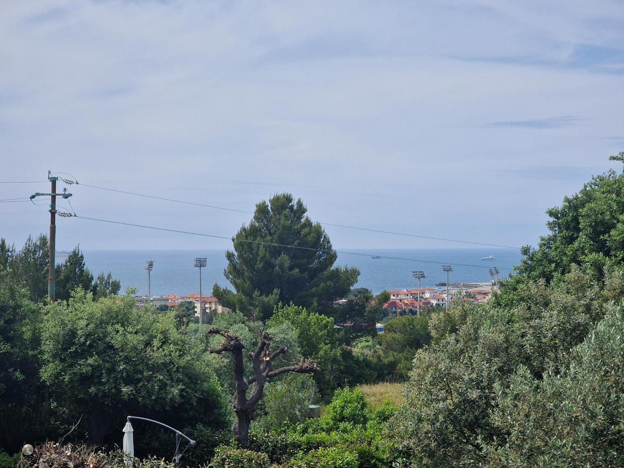 Campo Al Lupo *