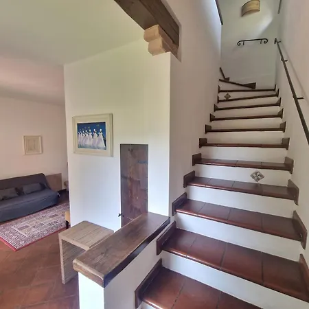 Ferienwohnung Campo Al Lupo Livorno Exterior foto