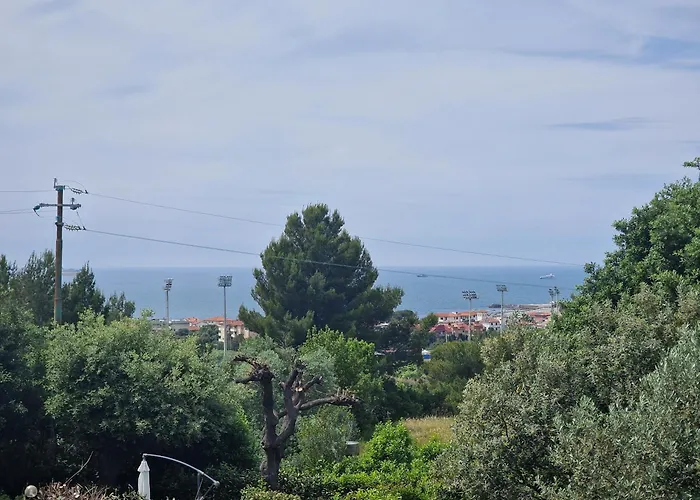 Campo Al Lupo